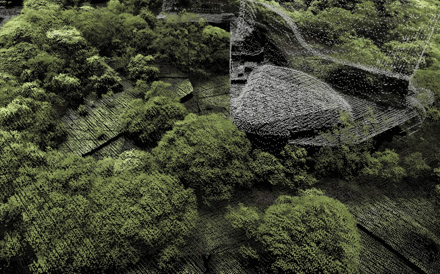 LiDar image of a building surrounded by a forest.